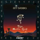 Ant Brooks - Funky Shiz