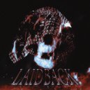 RAUDI.$tuart & Mr. Shakal - LAIDBACK ()