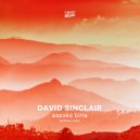 David Sinclair - Aapake Bina (Without You) (Extended Mix)