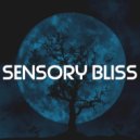 Samet Çaçan - Sensory Bliss