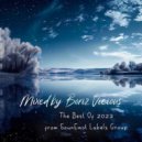 SounEmot State (DJ) - The Best of 2023 from Sounemot Labels Group