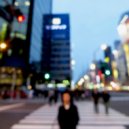 kyonpalm - Incubation