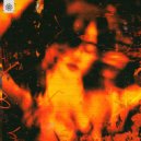 Criminal Mayhem - Lucid Dream