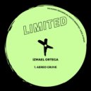 Izmael Ortega - Aereo Gruve (Original Mix)