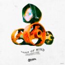 Deep Of Mind - Different View (Original Mix)