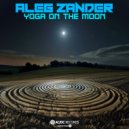 Aleg Zander - The Joy of Acid