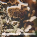 Mogi Grumbles - ... into clouds 06