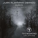 Juan Almiñana Obando - Aurean (Radio Edit)