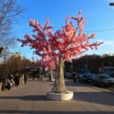 Lummi - Spring ()