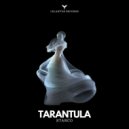 Stanco - Tarantula (Original Mix)