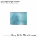 Sleep BGM Mindfulness - Sound Therapy for Sleep Induction and Mental Harmony (Original Mix)
