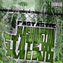 Fastastic - Raining Over Here