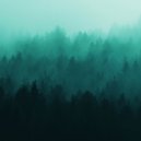 mysticalien - indifference (Slowed x Reverb)