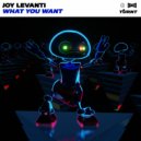 Joy Levanti - What You Want (Original Mix)