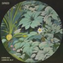 Echoing Souls - Ojos Negros