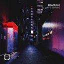 Beatsole - Always Spring