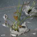 Clasps - Shibboleth ()