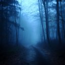 MYHEARTFLØWS - Foggy Dream ()