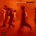 Satellite Dish - Strangers in the City