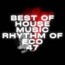 BEST OF HOUSE MUSIC - RHYTHM OF ECO 47 (ecomix)