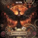 Bear - 40% of the Brain
