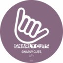 Gnarly Cuts - AFY (Original Mix)