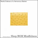 Sleep BGM Mindfulness - Whispered Dreams Cradled by Ocean's Melodies