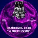 Hamooniii & REBEX - I've Been Everywhere