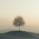 Dromenwever - Strand zonsondergang sereniteit