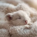 Zenit Zanger - Zen oceaanavond ()