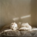 Zonsopkomst Zang - Zen zee stiltemomenten ()