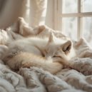 Zachte Zonsopgang - Stille zee ochtend ()