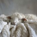 Zilveren Zefier - Golven ochtend meditatie ()