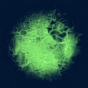 Molar Novate - Rabbit Hole, Wormhole, Black Hole
