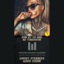 Chrisy Stebbeds & Audio Chunk - KNW BY YR NME (Original Mix)