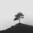 Lichtsnelheid Lied - Oceaanrust vind ()