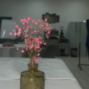 SON2166 - calm in the fog ()