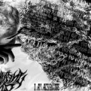 666IMMIREX - I am absolute ()