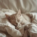 Zonnelicht Symfonie - Oceaan kalme golven ()