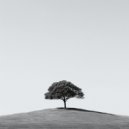 Nachtlucht Symfonie - Meditatief zeelicht ()