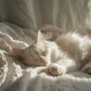 Zenon Zang - Oceaan zen stilte ()