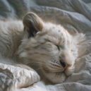 Zwervende Zeeën - Strand rust zeebries