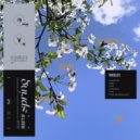 VRIME - Funky Spring (Bonus Track)