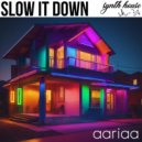 aariaa - Slow it Down (Radio)