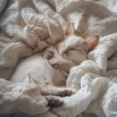 Zenith Zingen - Strand avond meditatie