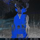 KURT NOPAIN - PISTOL WHIPPIN\' ()