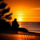 User_223 - Wait ()