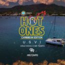 Cruz Rock & Mr Tempo - Hot Ones U.S.V.I (feat. Mr Tempo) ()