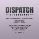 Atlantic Connection - Situations