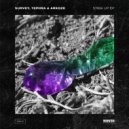 Survey and Tephra & Arkoze - See The Light (Original Mix)